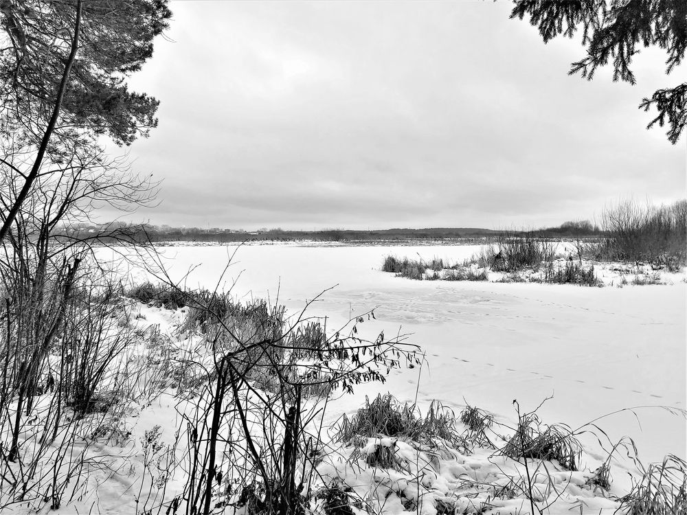 Photograph by Андрей Скрипниченко