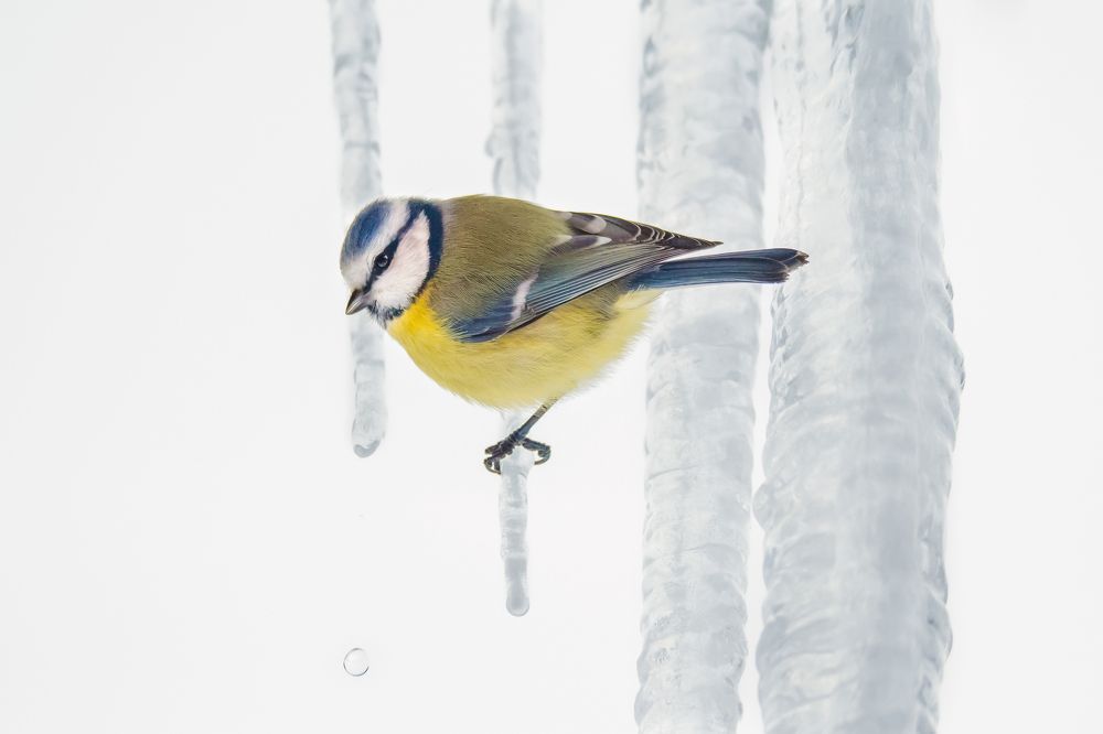 Photograph by Соварцева Ксения