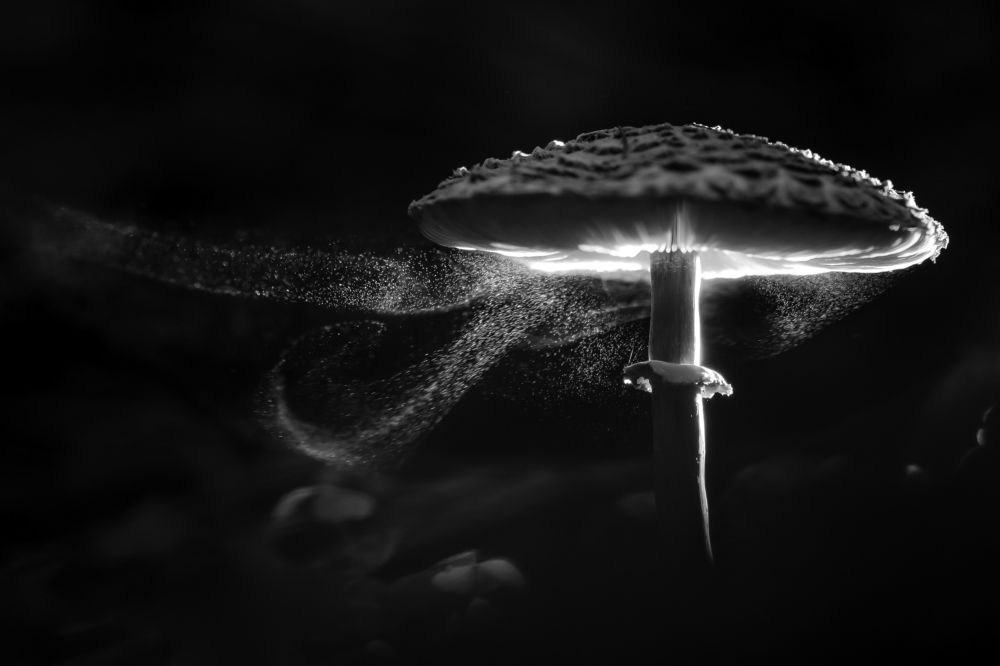 Photograph by Соварцева Ксения