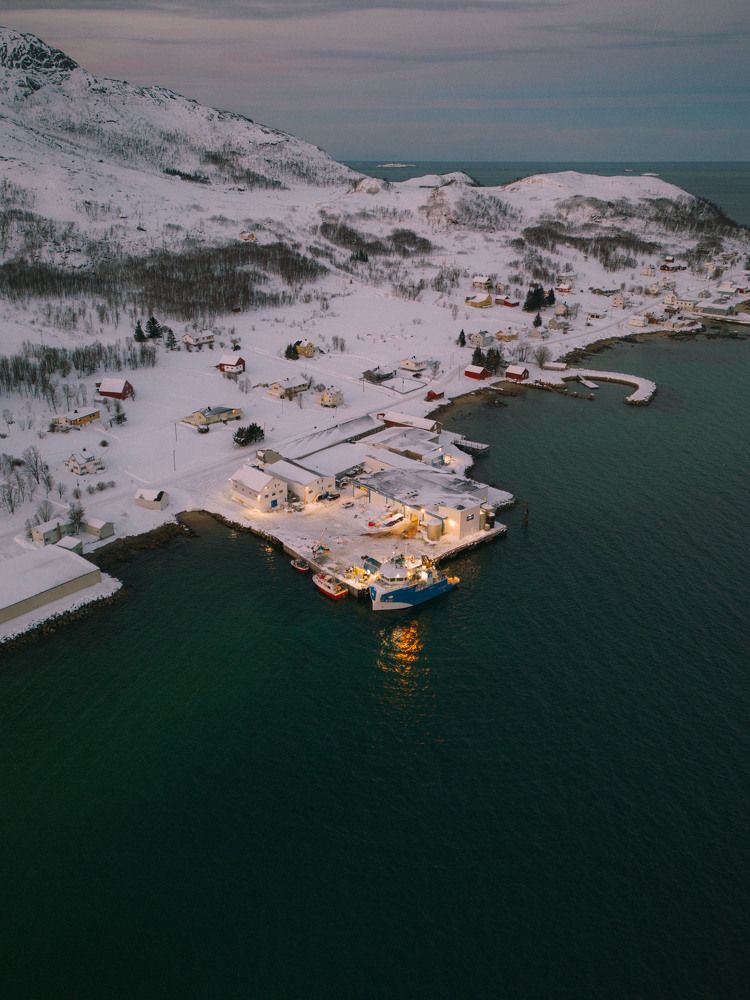 Photograph by starrymoon