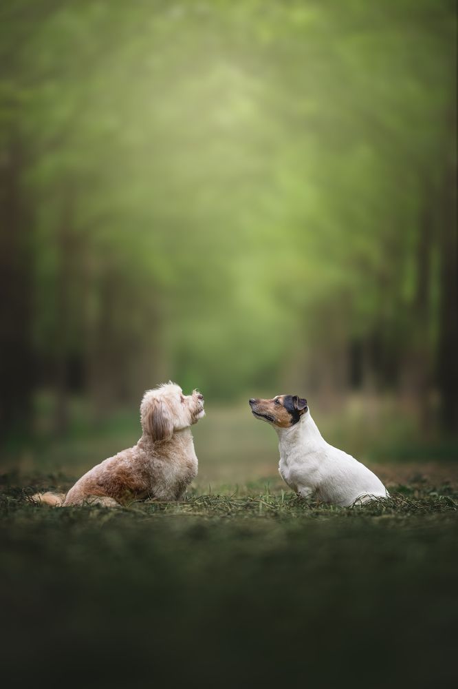 Фотография автора Rut Casanellas