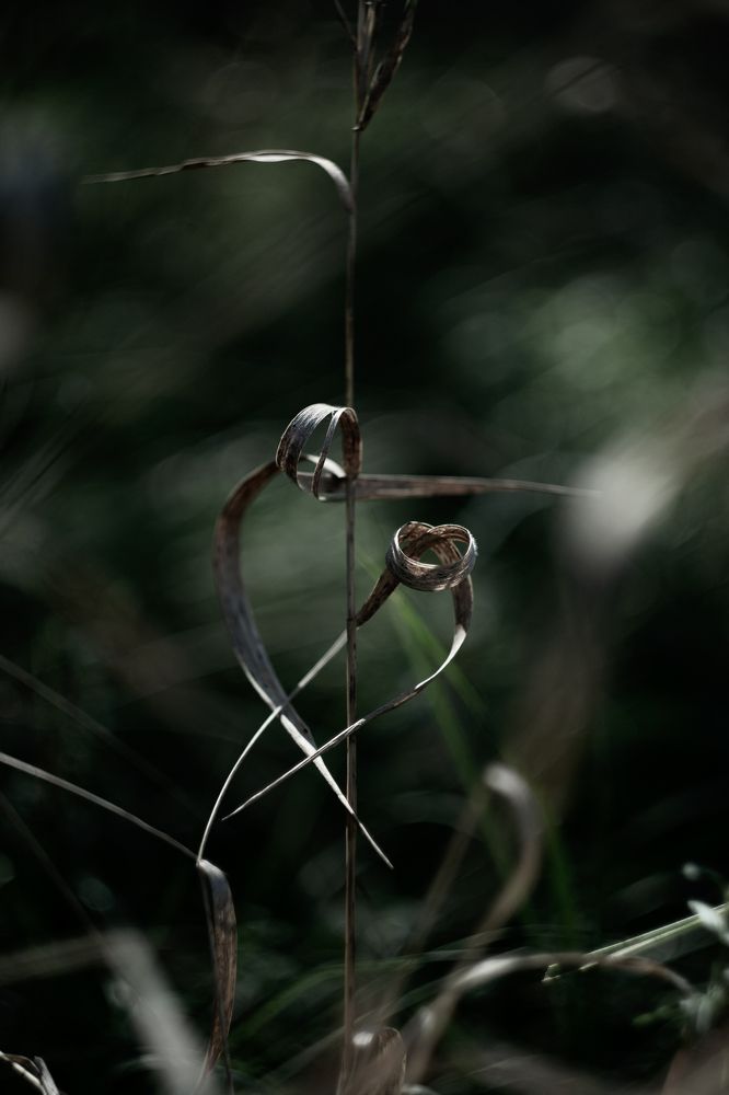 Семейная ссора.