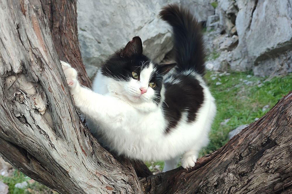 Photograph by Евгений Самулев