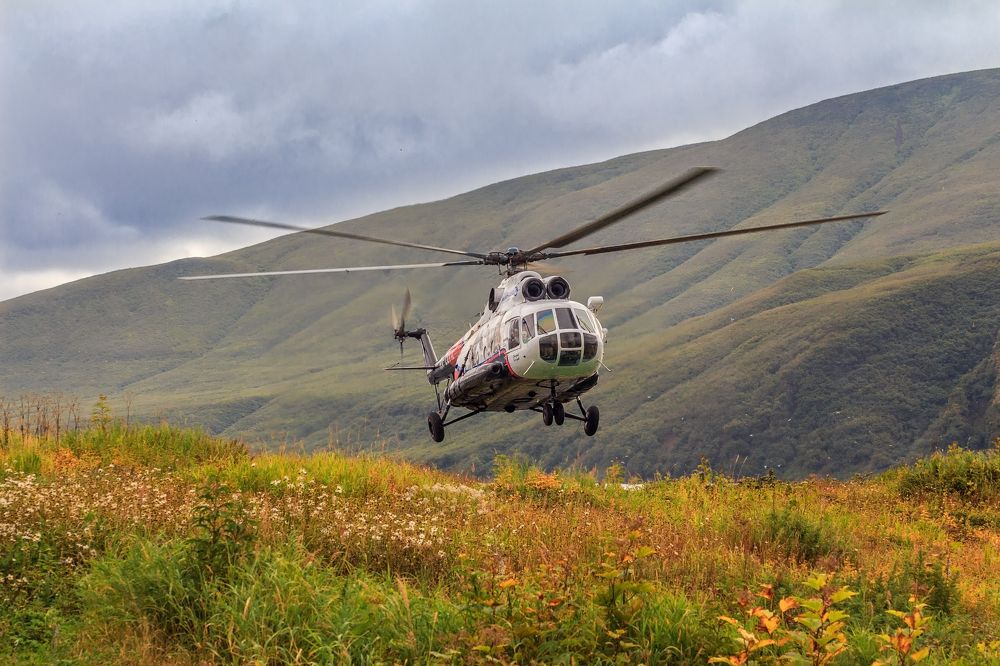 Фотография автора Галина Шепелева