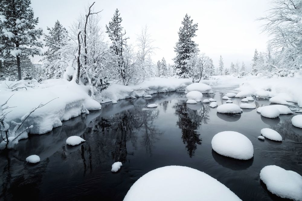 Photograph by Tatiana Meshcheryakova