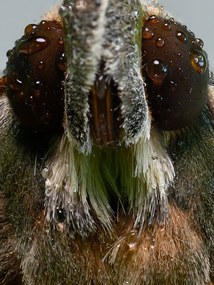 Фотография автора ebrahim omar