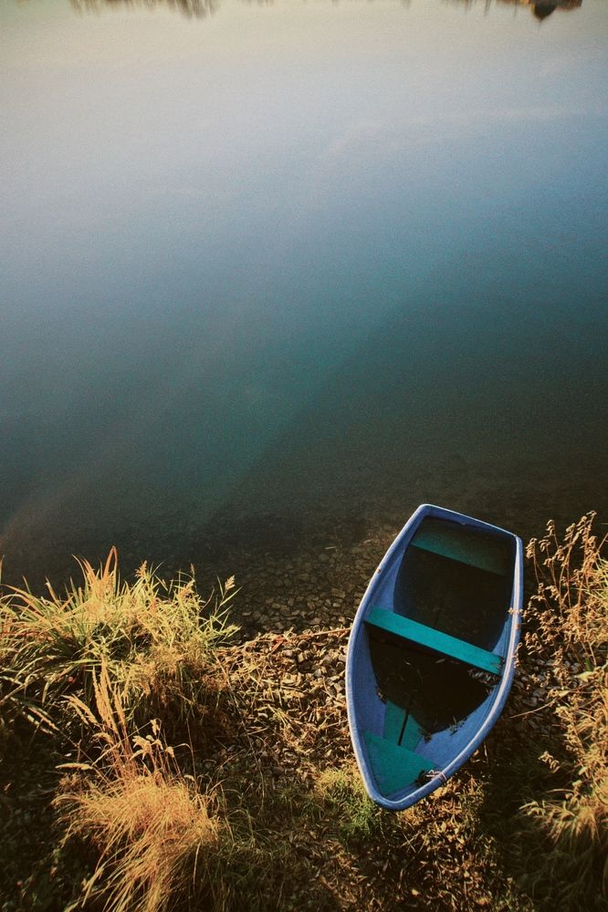 Photograph by Elvira