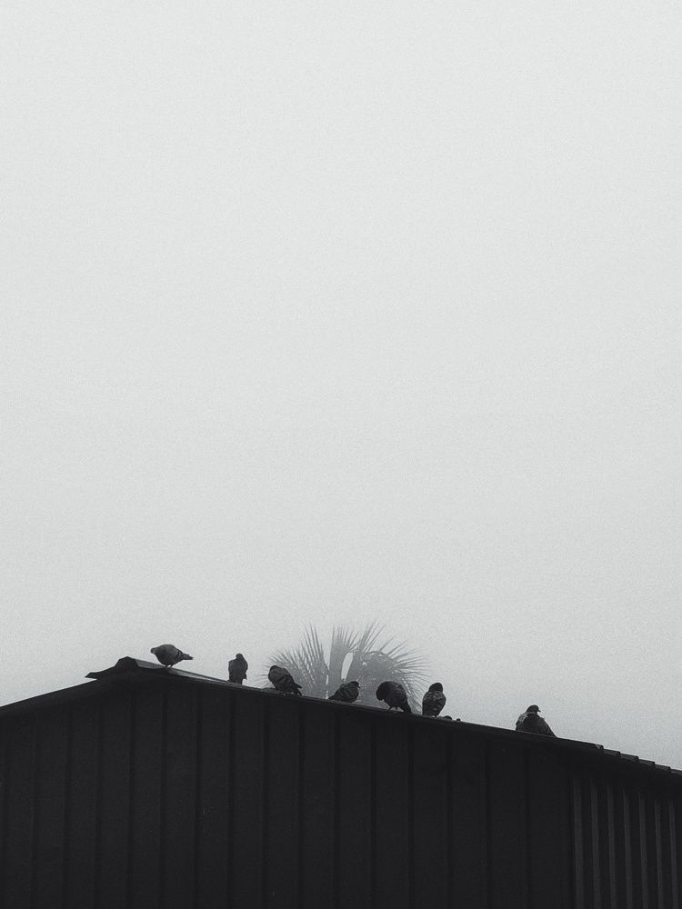 Photograph by Premjyoti Nosipuri