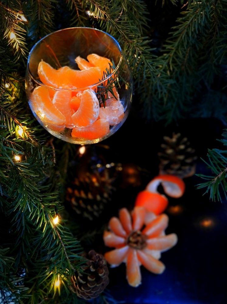 Фотография автора JELENA VASIC