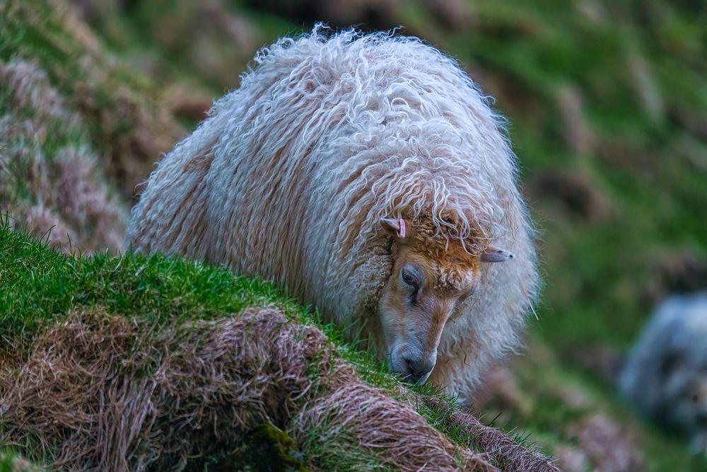 Photograph by Шварцман Евгений