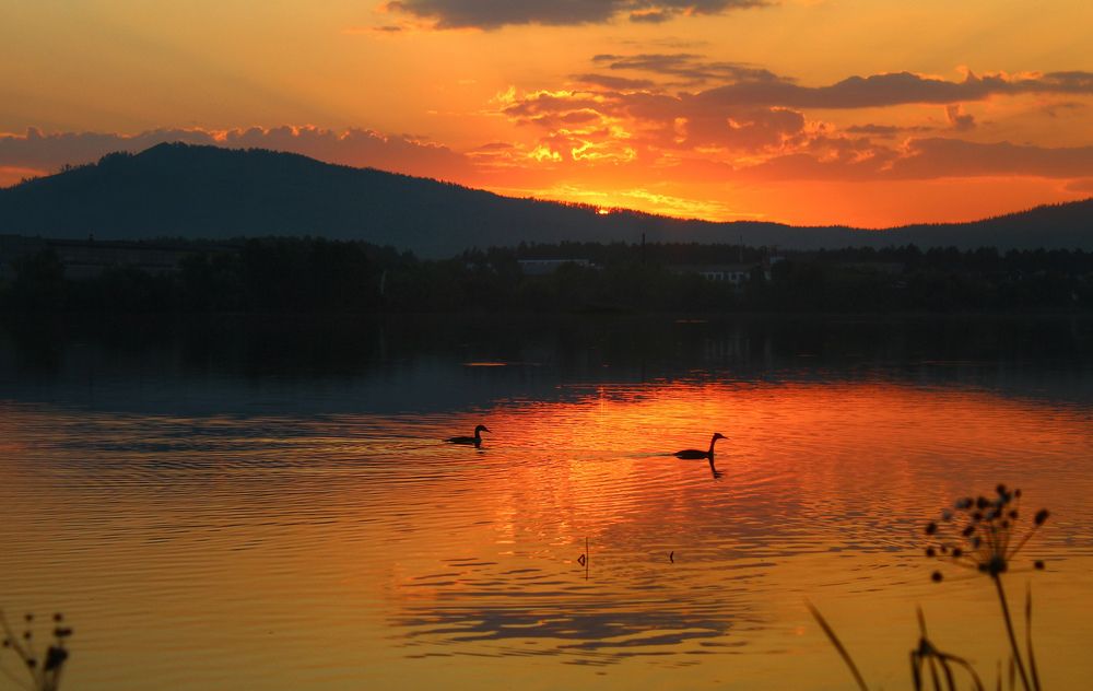 Фотография автора Анатолий Нифантов