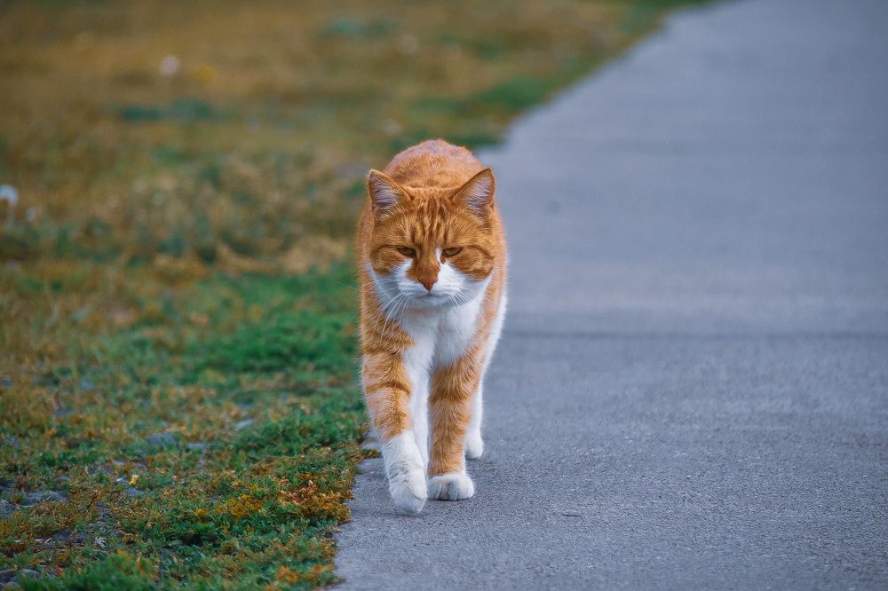 Photograph by Elvira