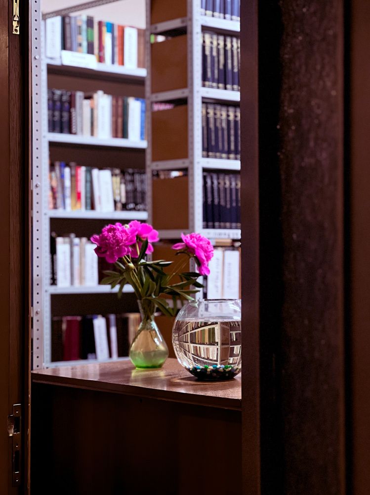 Photograph by Elvira