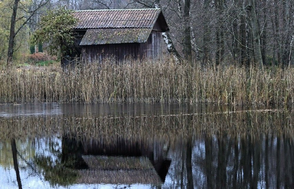 Photograph by jelena konickaja