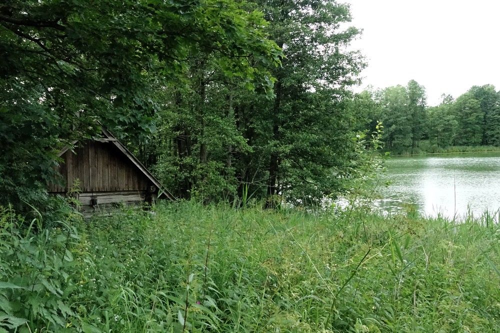 Photograph by jelena konickaja