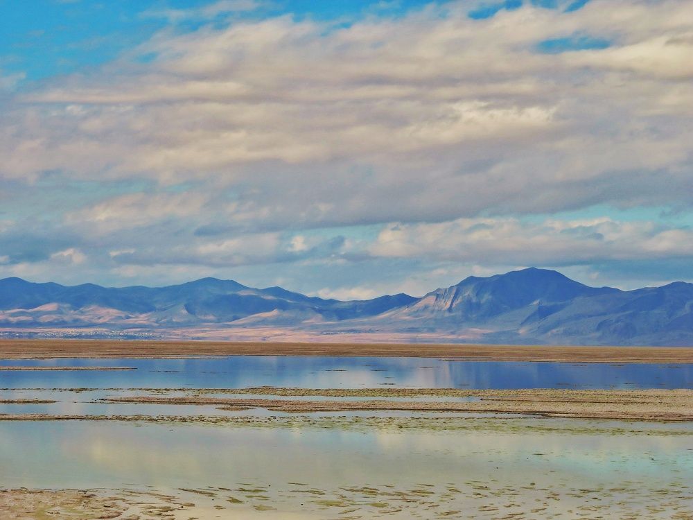 Фотография автора Mahdi Mohammadi