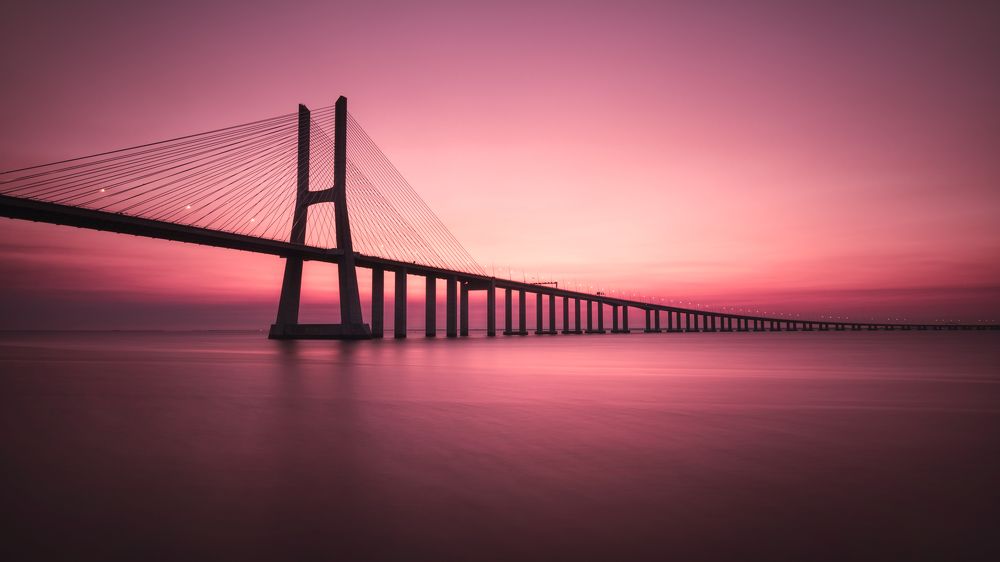 Photograph by Lara Iris