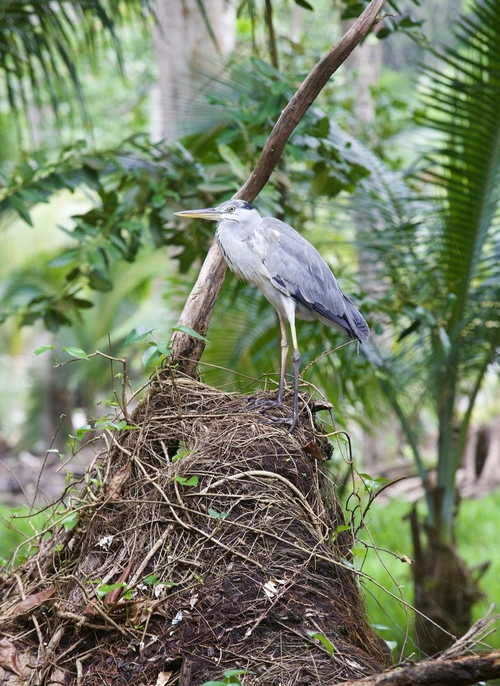 Photograph by Елена Ковалева