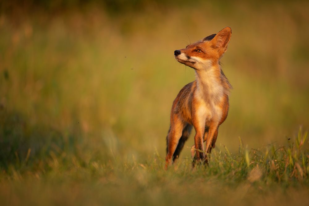 Photograph by Татьяна Жеребцова