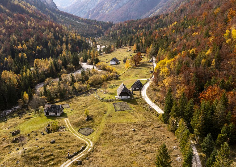 Photograph by Alexandru George