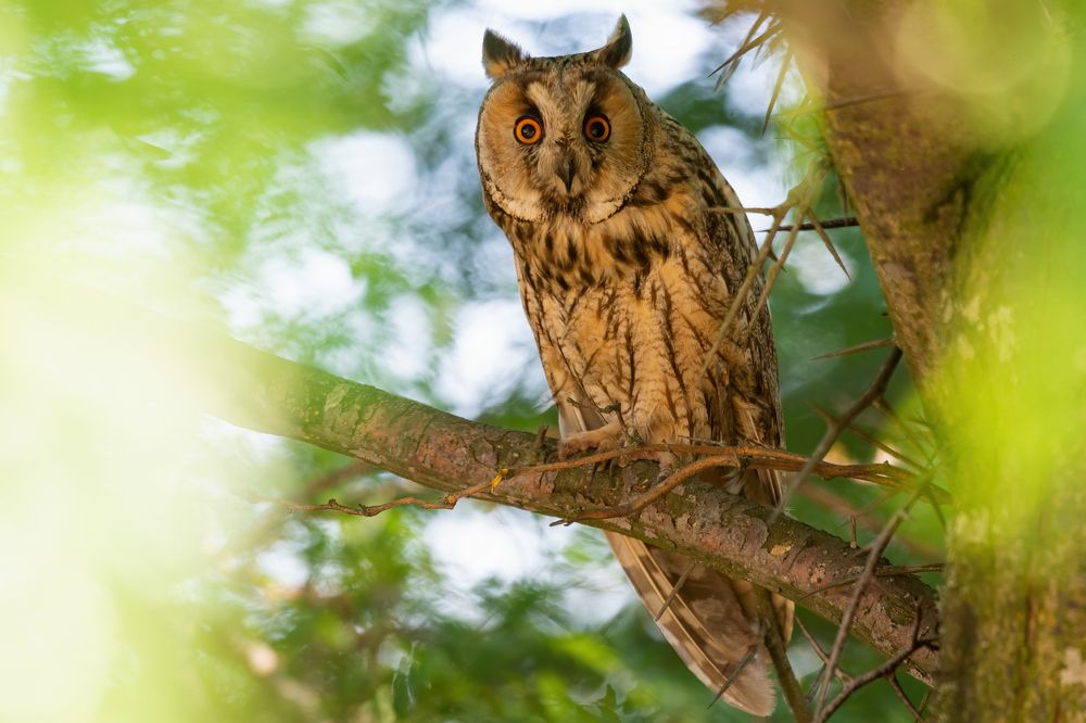 Photograph by Татьяна Жеребцова