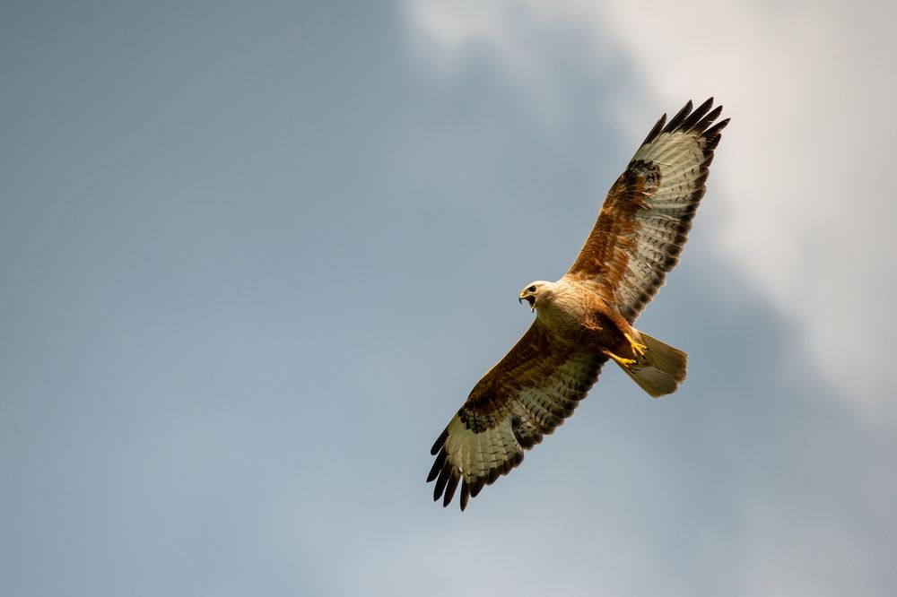 Photograph by Татьяна Жеребцова