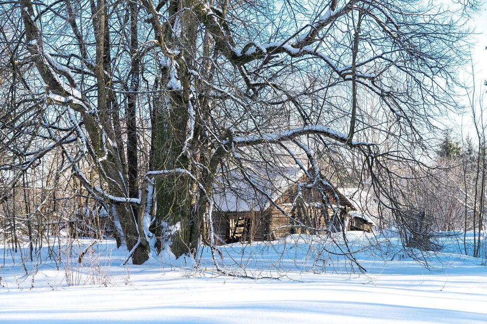 Photograph by Людмила Сироткина