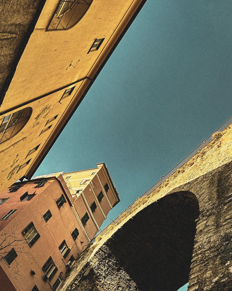 Photograph by Zinaida Sassarini