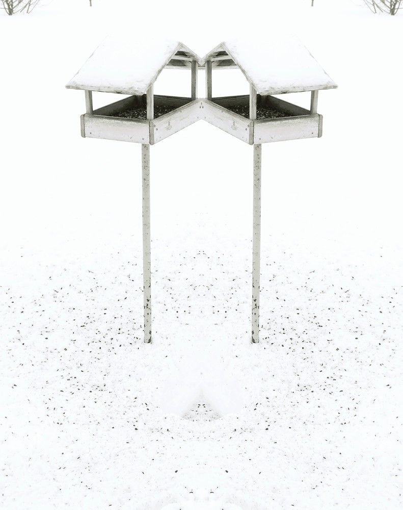 Photograph by Milana Bakina