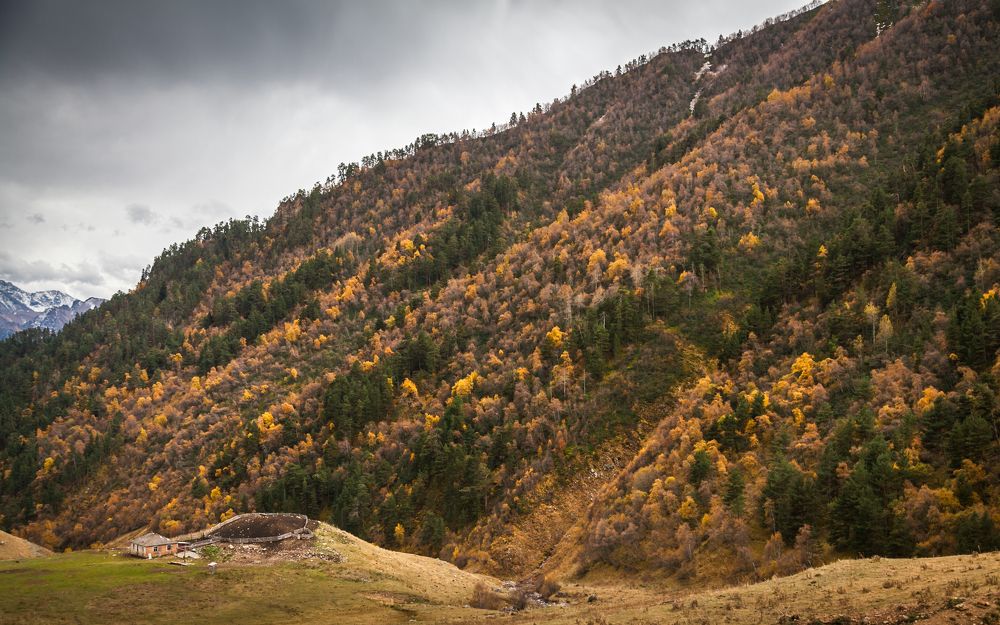 Photograph by Владимир Кривенко