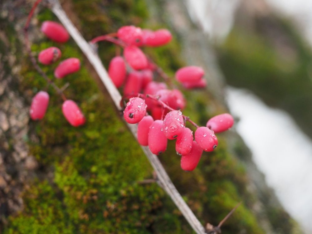 Photograph by Андрей Анатольевич