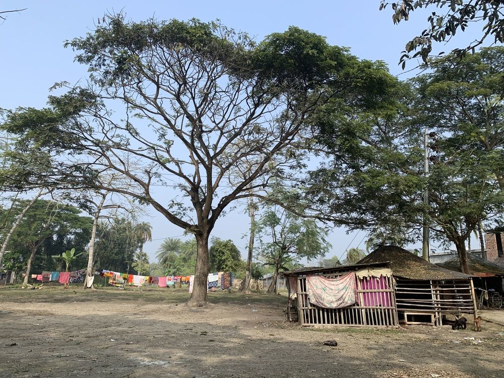 Фотография автора Washiful Majid