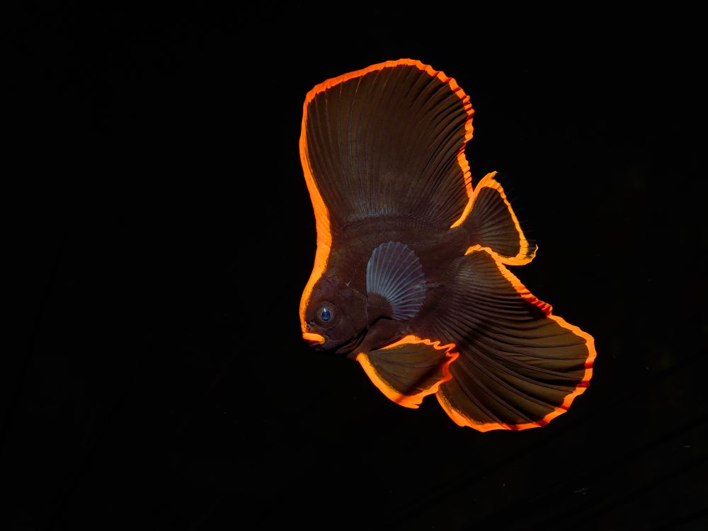 Photograph by Савин Андрей