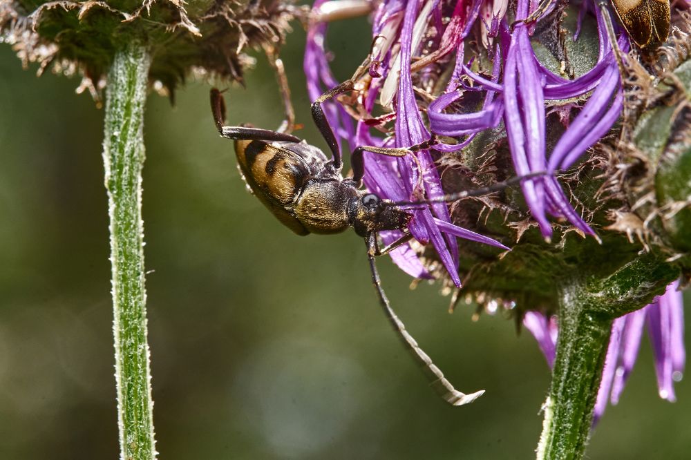Фотография автора Игорь Игоревич