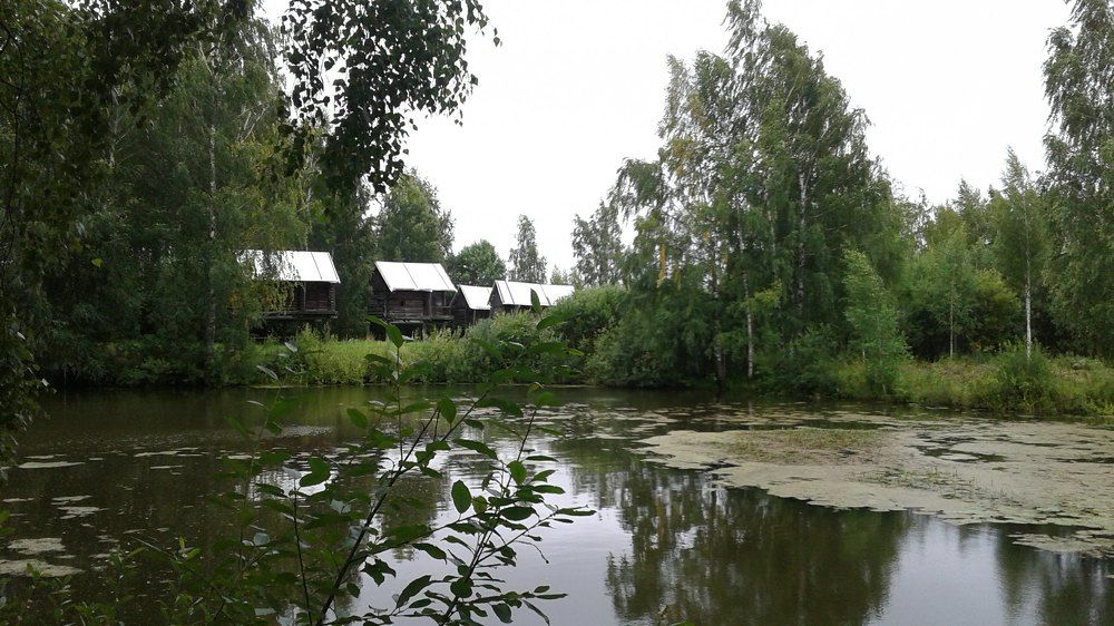 Photograph by Татьяна Ненюхина