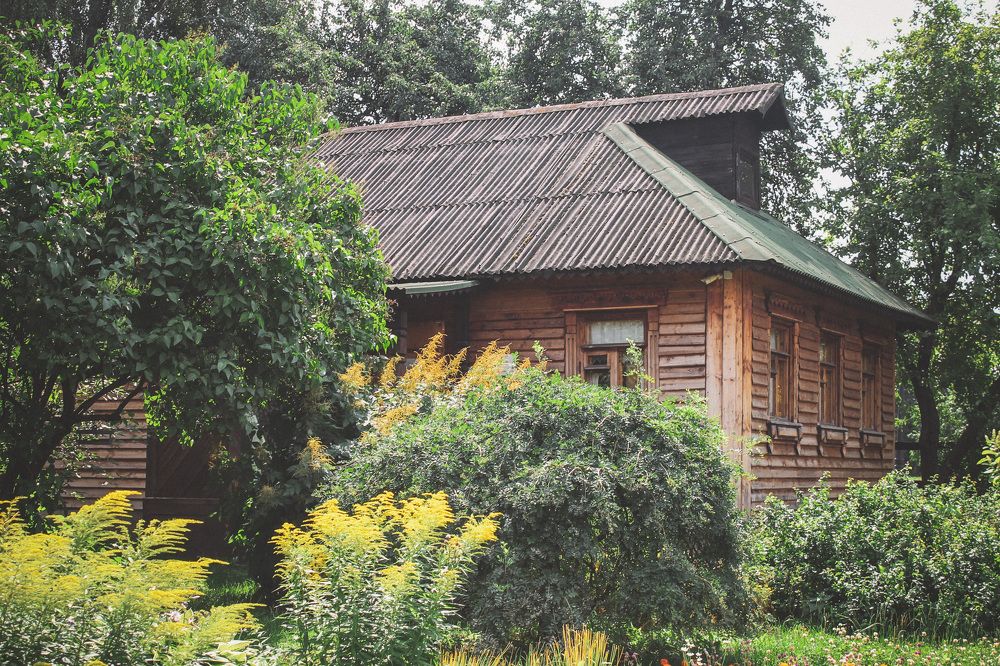 Photograph by Яна Цицилашвили