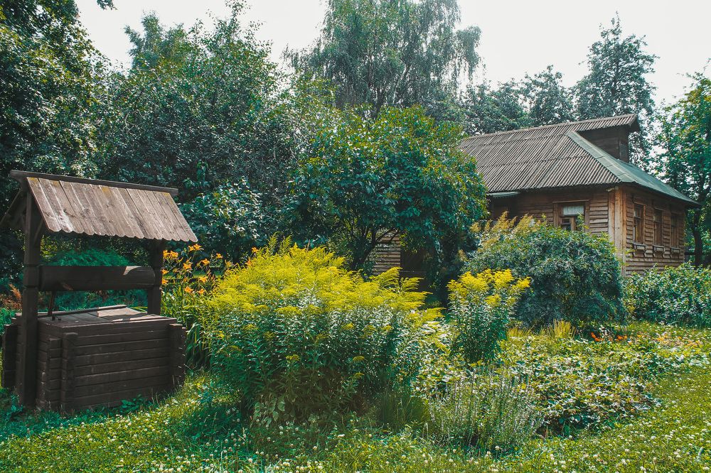 Photograph by Яна Цицилашвили