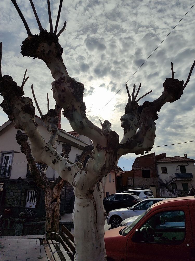 Фотография автора Rafael G. Hernandez