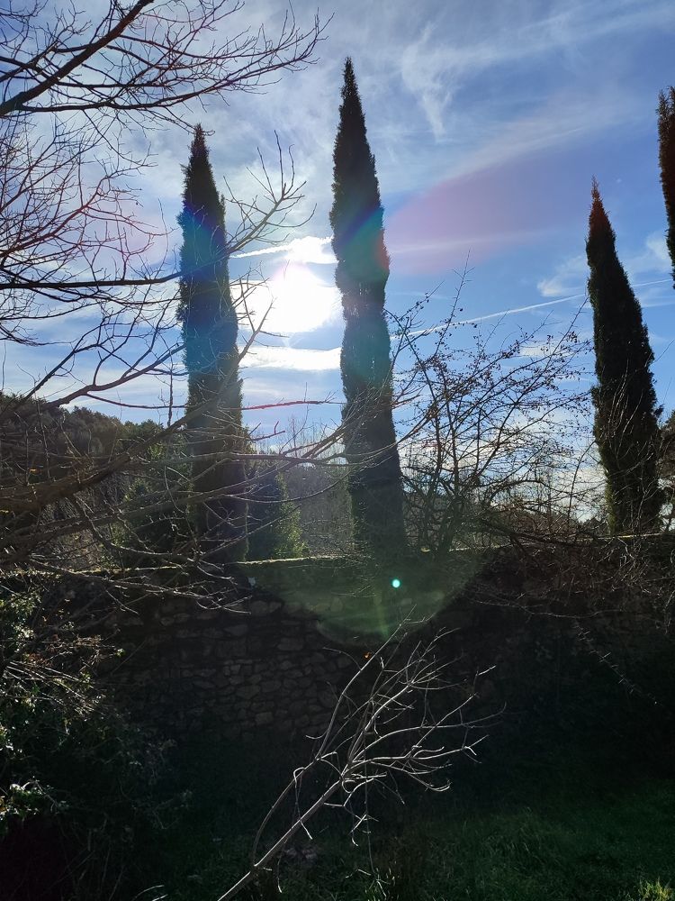 Фотография автора Rafael G. Hernandez