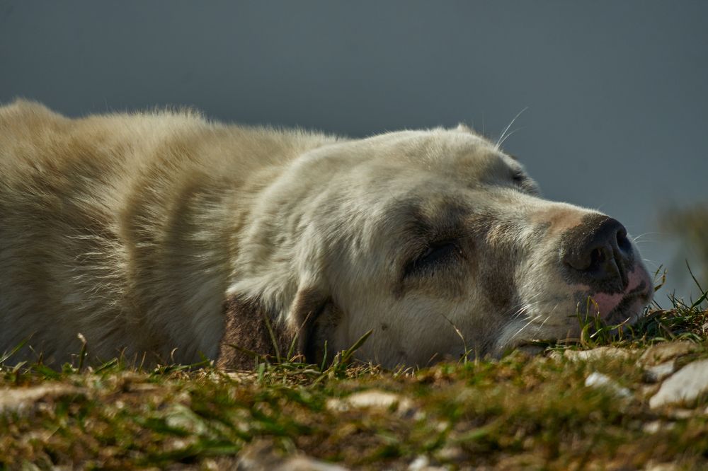 Фотография автора Игорь Игоревич