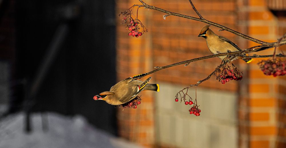 Photograph by Сергей Синягин