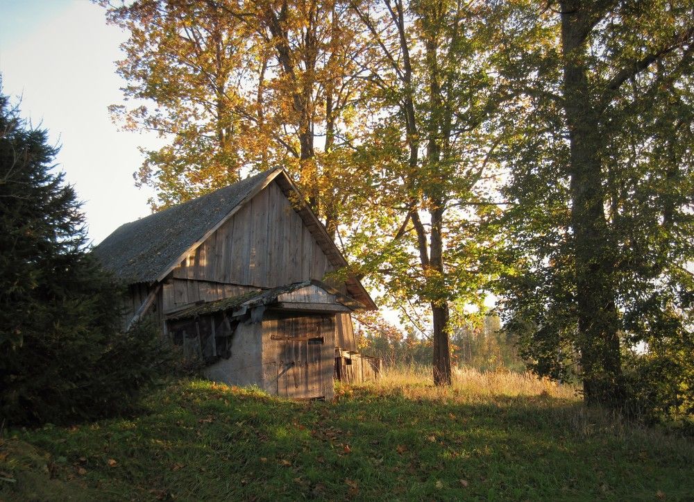 Photograph by jelena konickaja