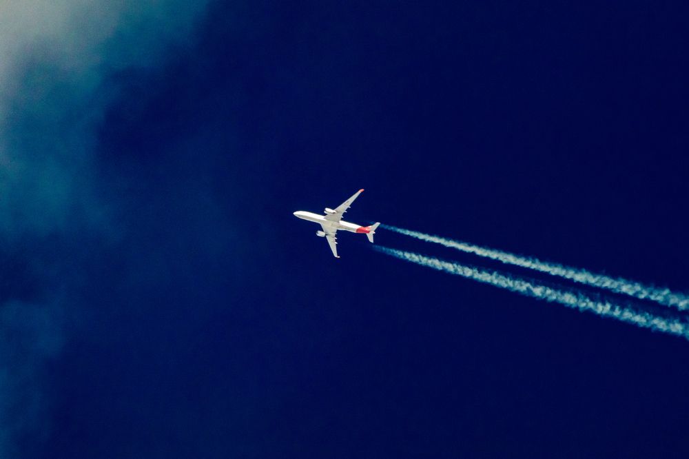 Фотография автора Gabriel de Araujo Almeida