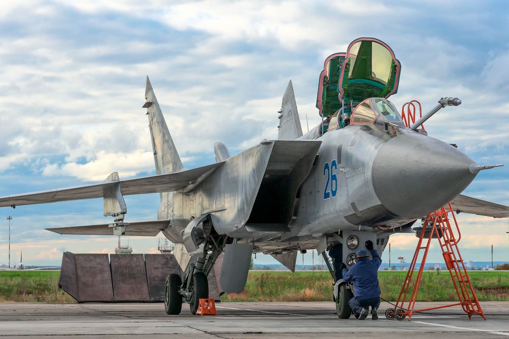 Здравствуй, птица!