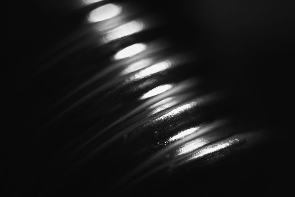 Photograph by Jovan Svorcan