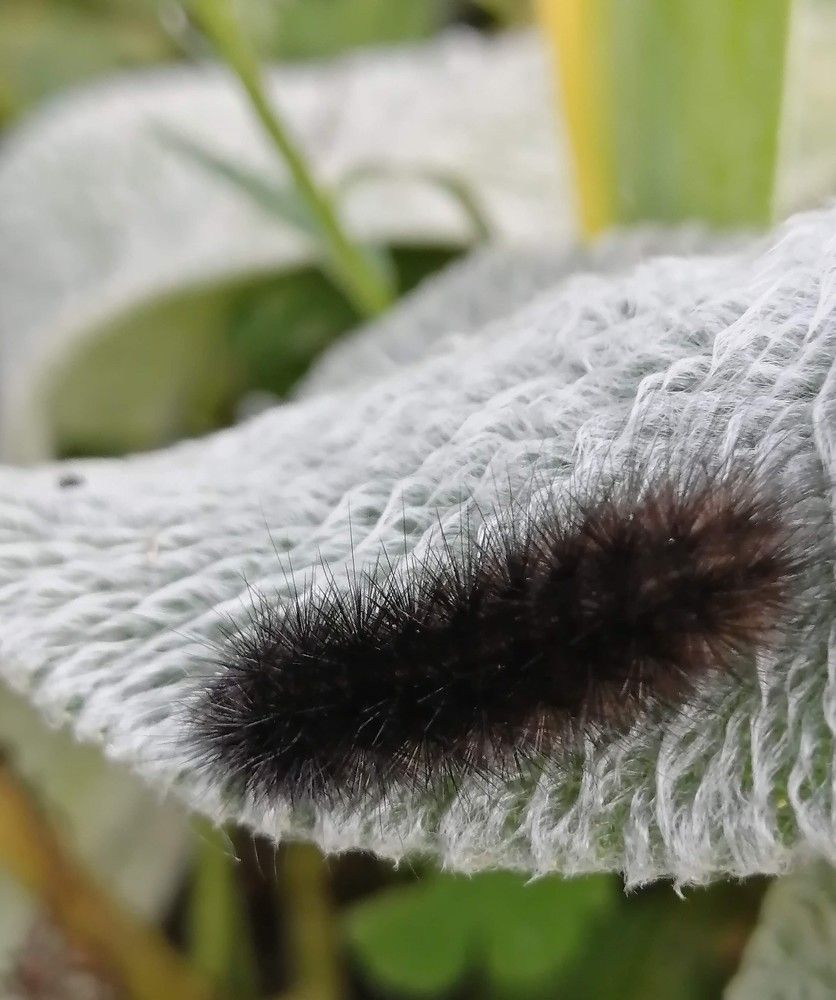 Photograph by Татьяна Ненюхина