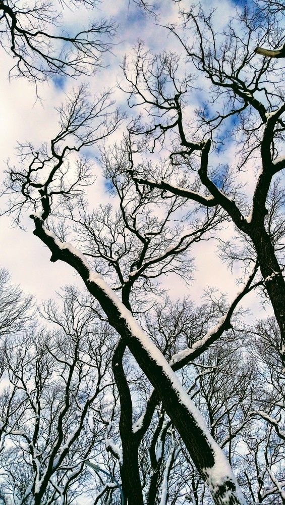 Photograph by Юлия Жулидова