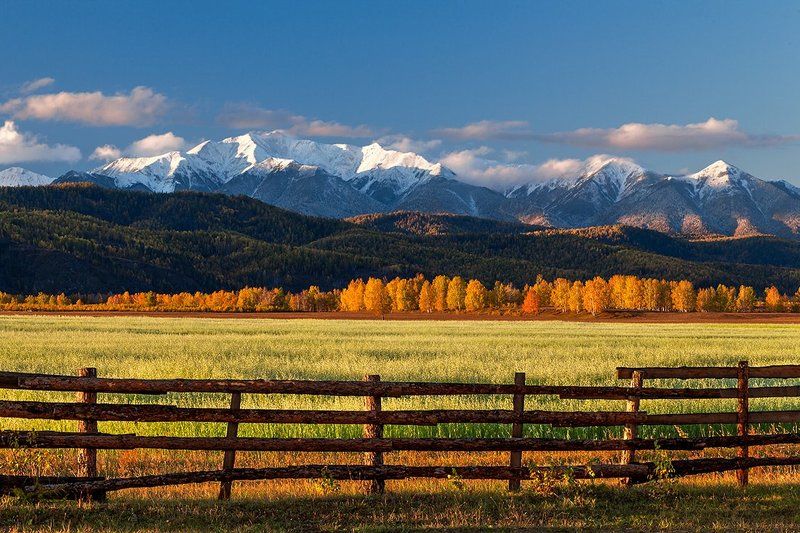 Stas Tolstnev, Russia