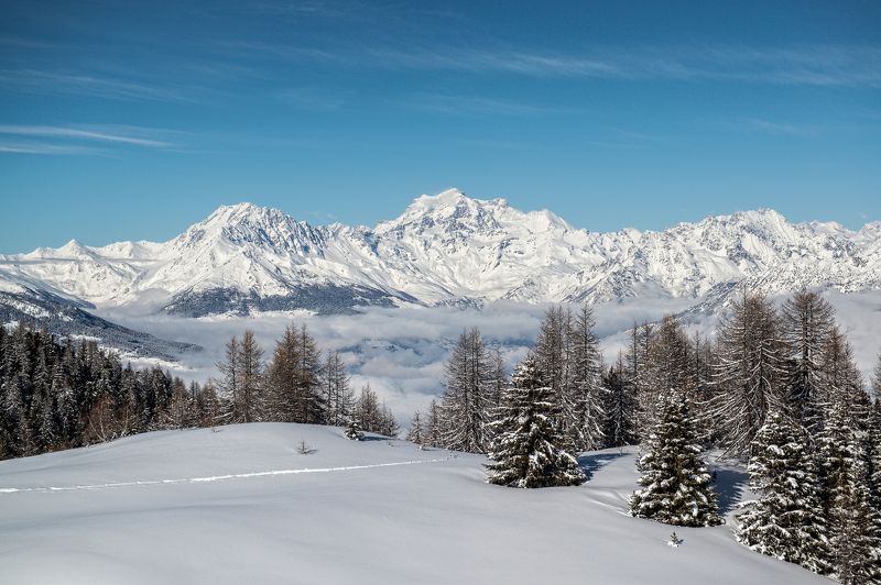 Alexey Beskopylnyy, Russia