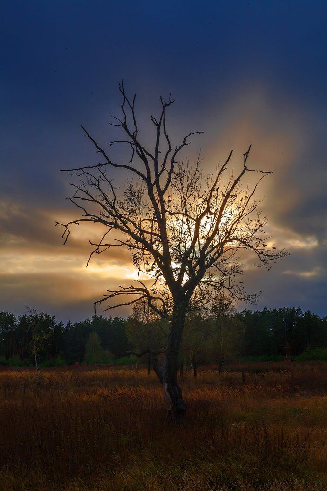 ОДИНОЧЕСТВО